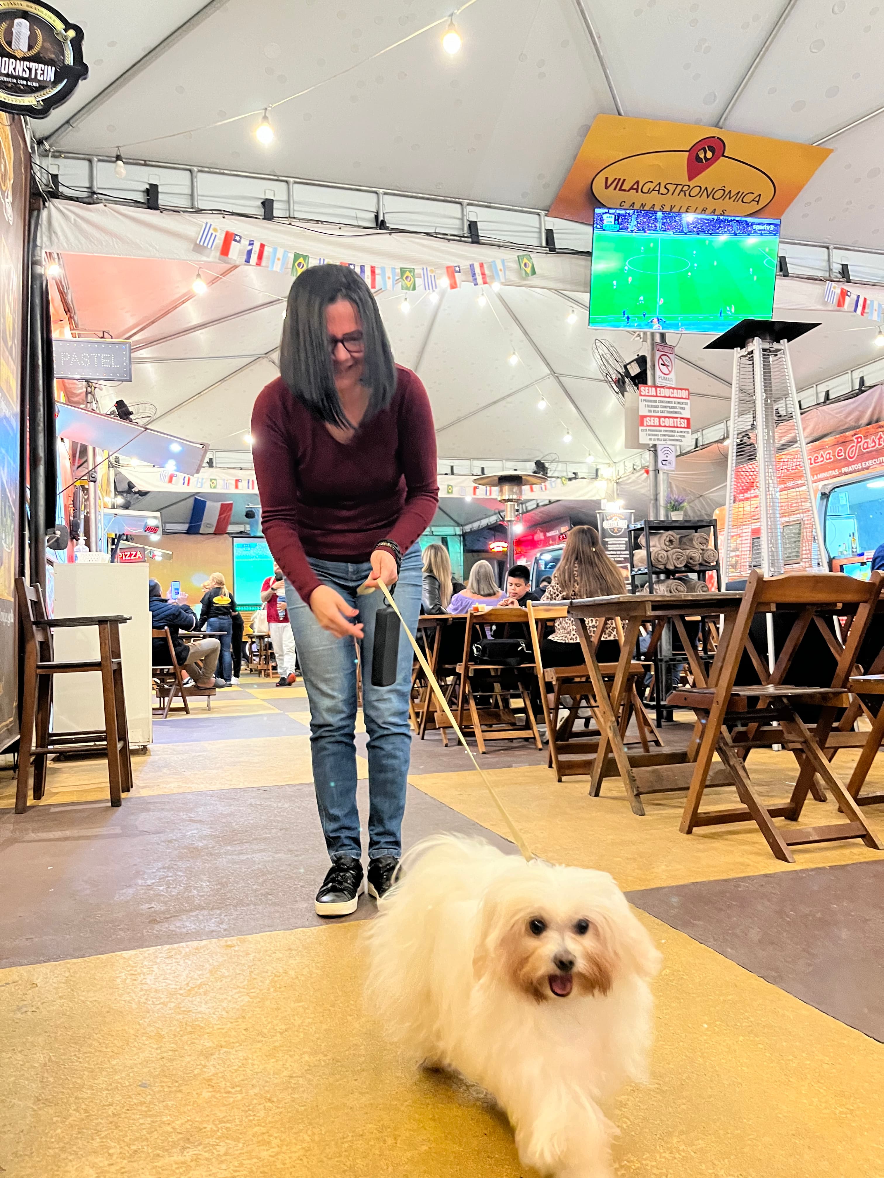 Ambiente pet-friendly com cachorro